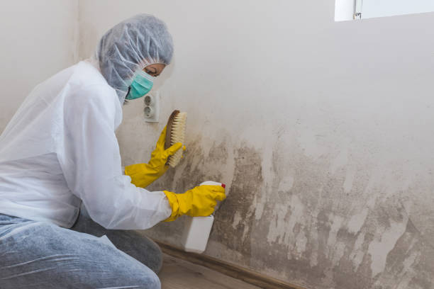 Mold Remediation for Vacation Homes